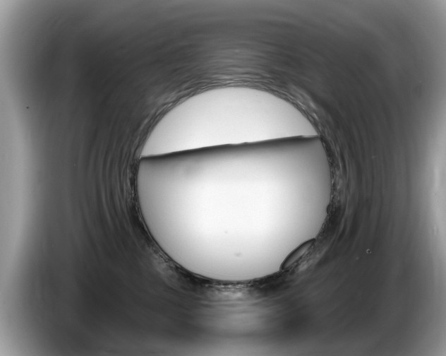 X0000087610377200704271105