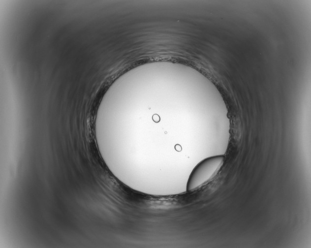 X0000087610378200704271105