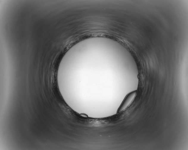 X0000087610379200704271105