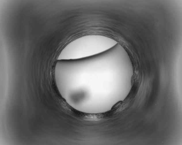 X0000087610381200704271105