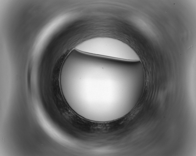 X0000087610383200704271105