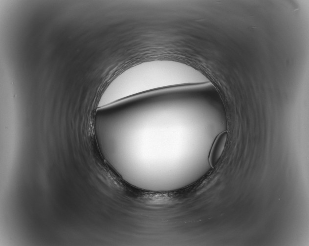 X0000087610384200704271105
