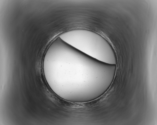 X0000087610386200704271104
