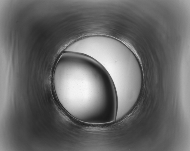 X0000087610389200704271104