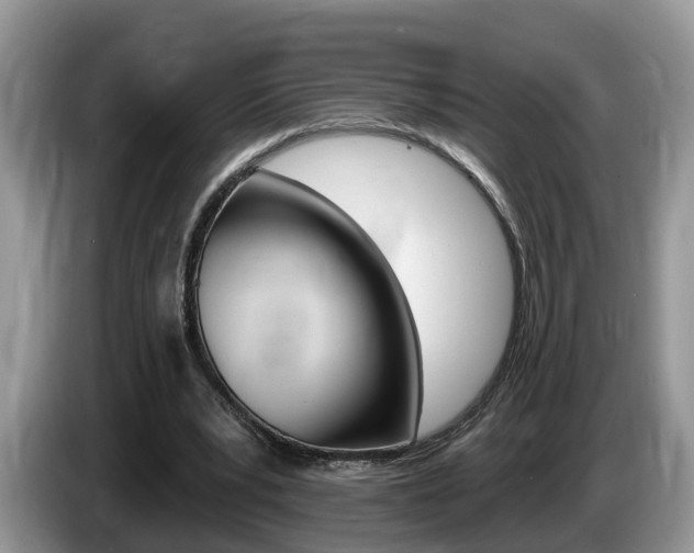 X0000087610391200704271104