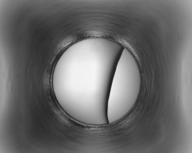 X0000087610394200704271104