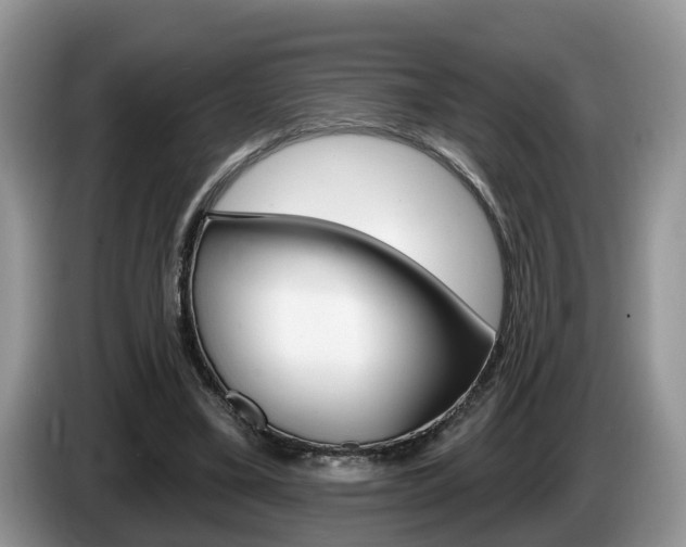 X0000087610395200704271104