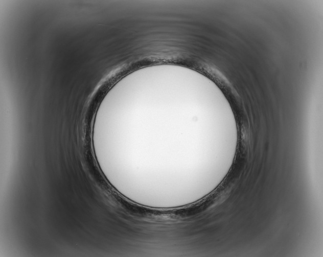 X0000087610396200704271104