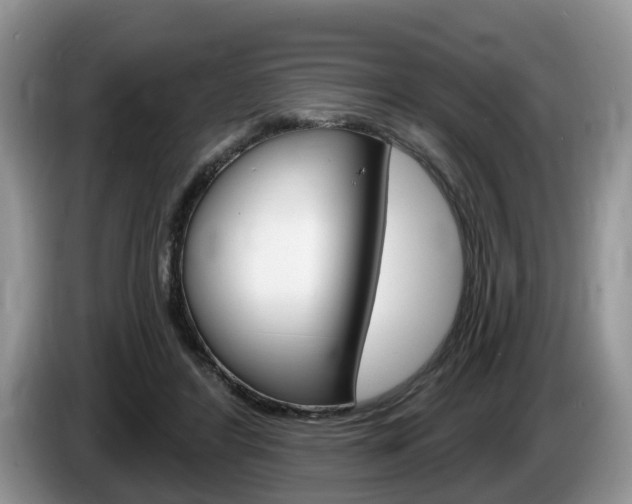 X0000087610404200704271104
