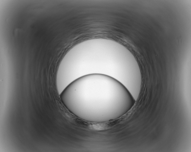 X0000087610417200704271104