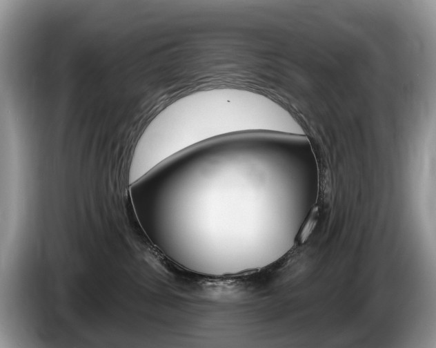 X0000087610428200704271104
