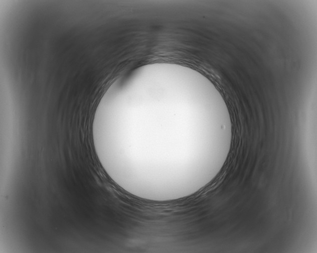 X0000087610429200704271104