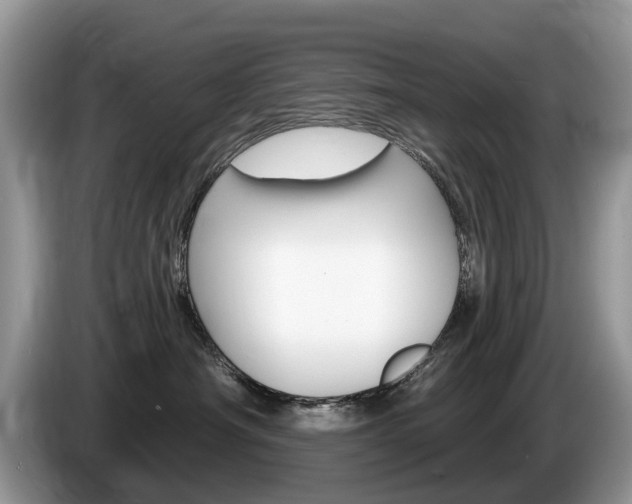 X0000087610430200704271104