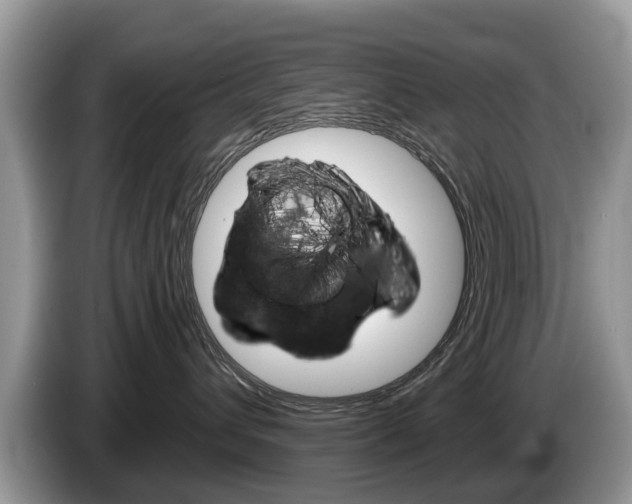 X0000087610432200704271104