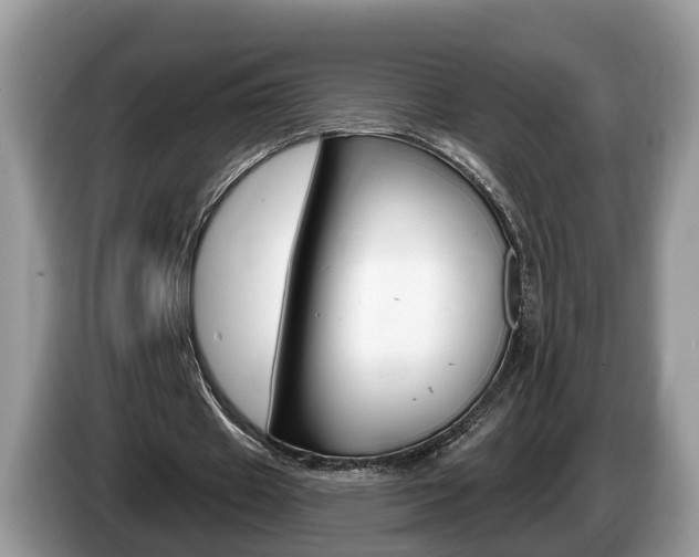 X0000087610433200704271103