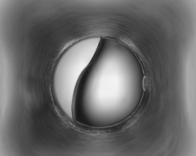 X0000087610434200704271103