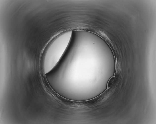 X0000087610435200704271103