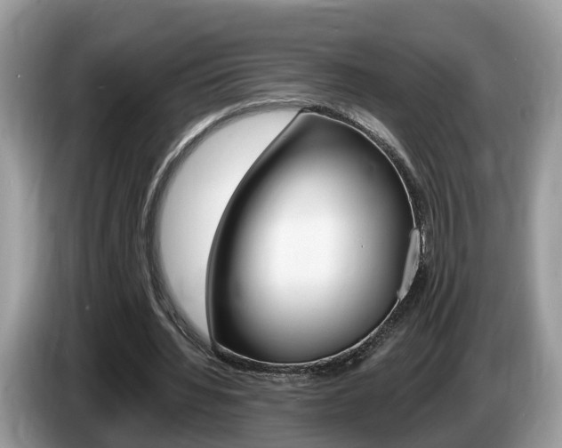 X0000087610436200704271103