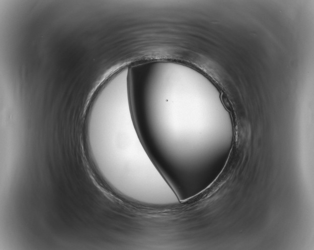 X0000087610438200704271103