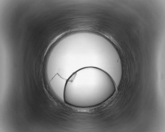 X0000087610440200704271103