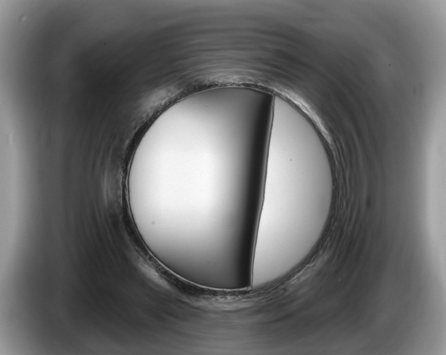 X0000087610445200704271104