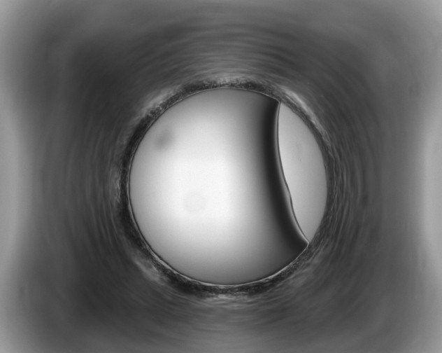 X0000087610447200704271104