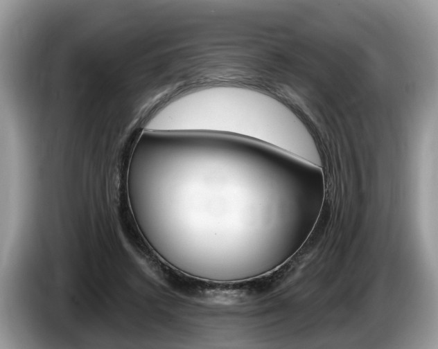 X0000087610448200704271104