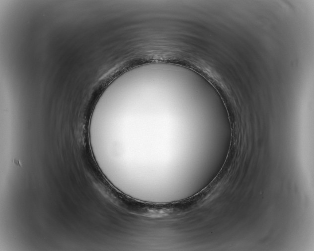 X0000087610450200704271104