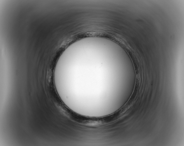 X0000087610458200704271104