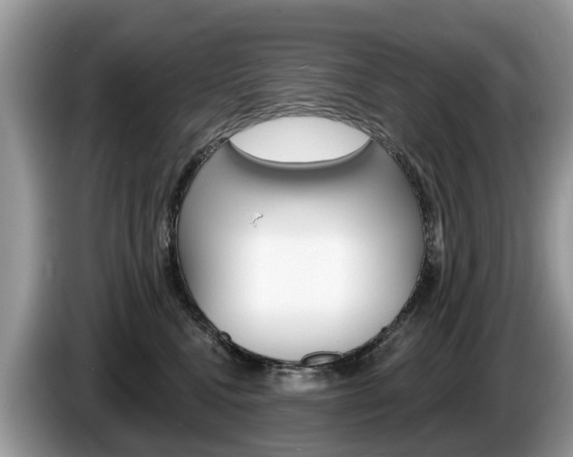 X0000087610472200704271104