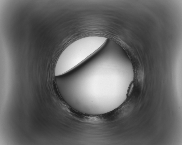 X0000087610475200704271104