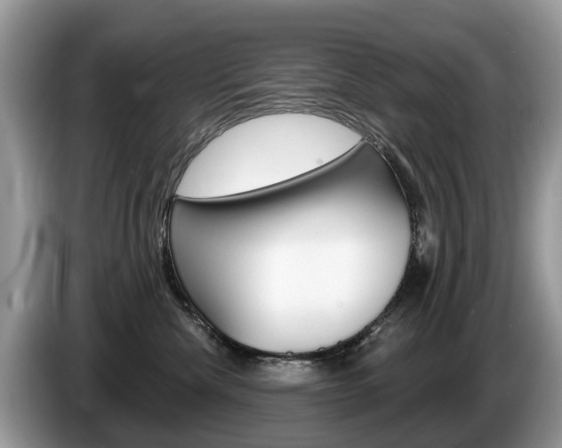 X0000087610476200704271104
