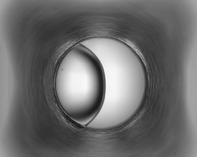 X0000087610481200704271103