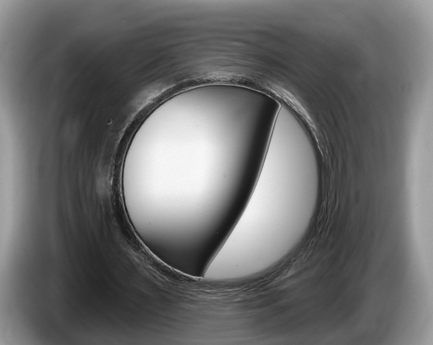 X0000087610483200704271103
