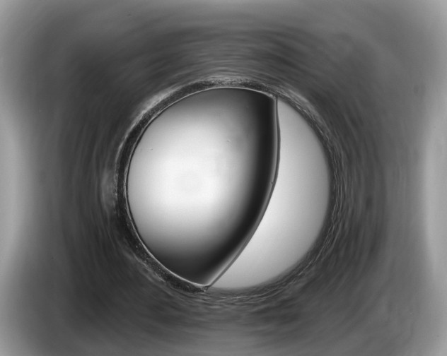X0000087610484200704271103
