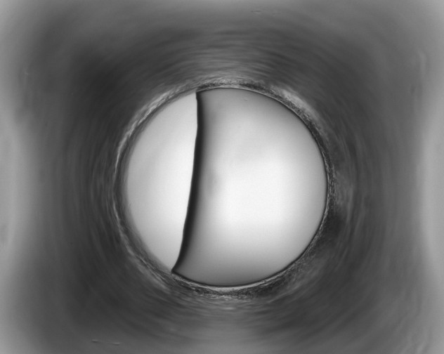 X0000087610486200704271103