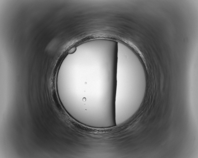 X0000087610487200704271103
