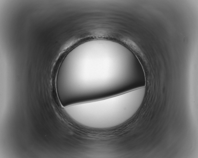 X0000087610488200704271103