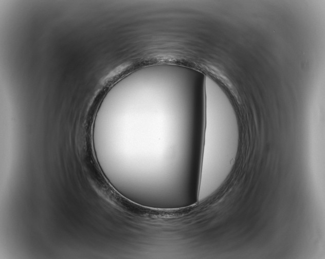 X0000087610492200704271103
