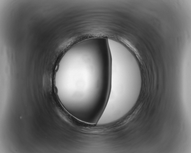 X0000087610493200704271103