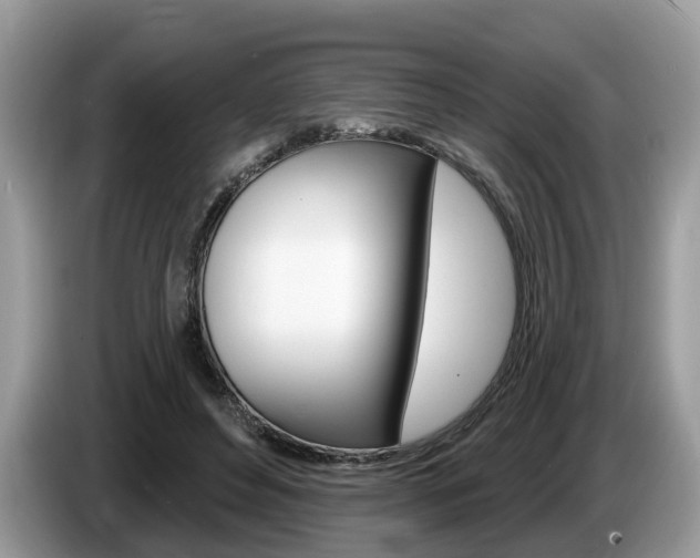 X0000087610496200704271103