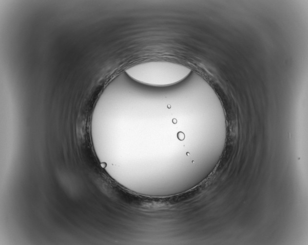 X0000087610503200704271103