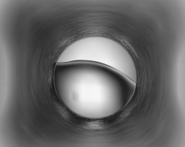 X0000087610505200704271103