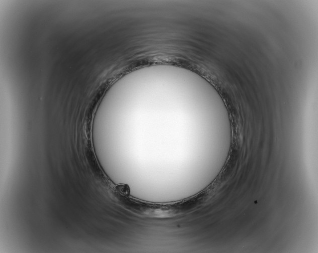 X0000087610506200704271103