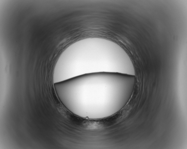 X0000087610507200704271103