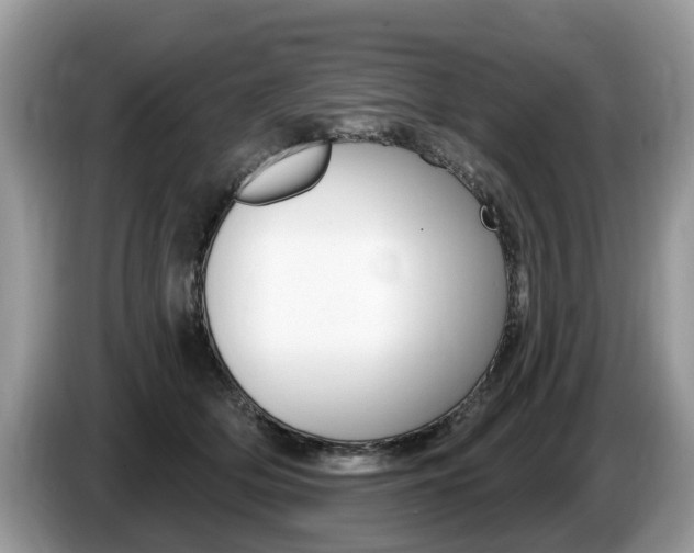 X0000087610514200704271103