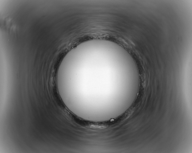 X0000087610515200704271103