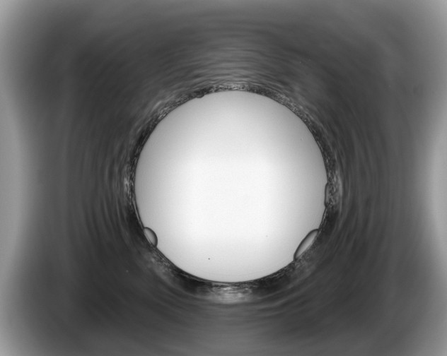 X0000087610522200704271103
