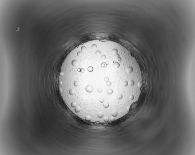 X0000087610523200704271103