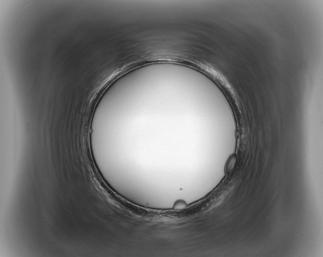 X0000087610529200704271102